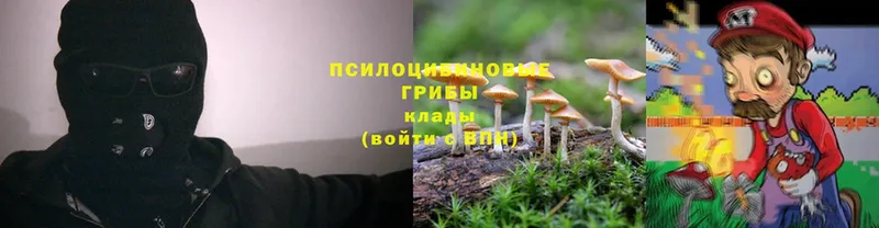 Галлюциногенные грибы Magic Shrooms  где можно купить   Ардатов 